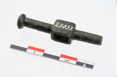Foto von Bronzezwergknebel (NHMW-PRAE-025037)